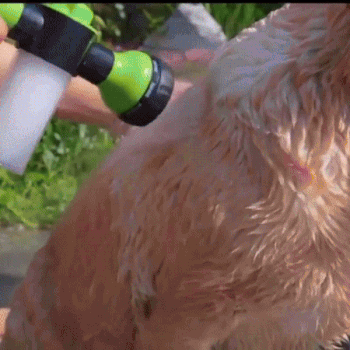 High Pressure Car/Garden/Pet Foam Water Gun - Daily New Trends Megastore