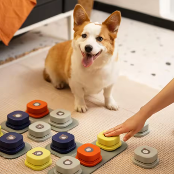 Pet Talking Buttons with Mat - Daily New Trends Megastore