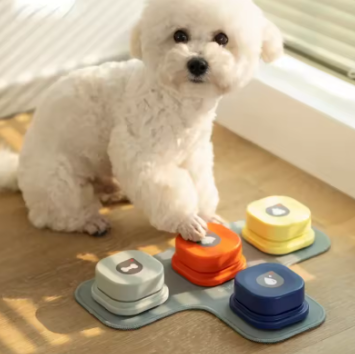 Pet Talking Buttons with Mat - Daily New Trends Megastore