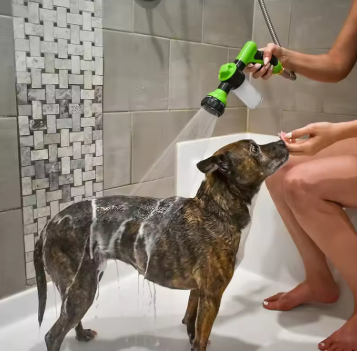 High Pressure Car/Garden/Pet Foam Water Gun - Daily New Trends Megastore