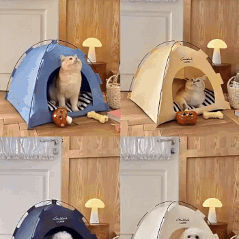 Cat / Dog Pet Tent - Daily New Trends Megastore